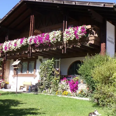 Krinnenspitze Penzion Nesselwängle