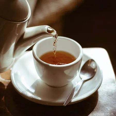 Krinnenspitze Konukevi 3*